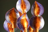"Royal Flame"