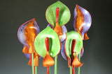 "Royal Flame"